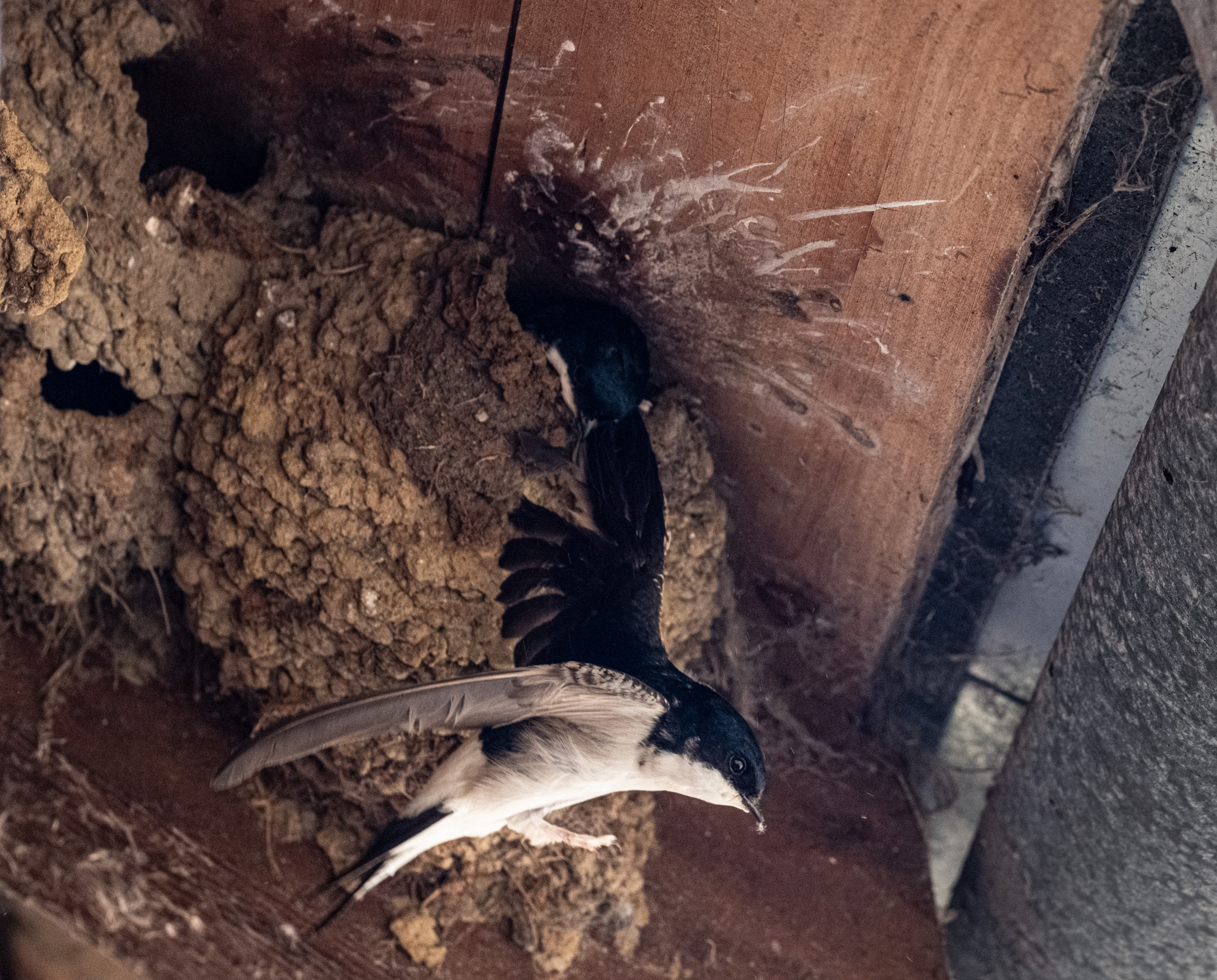 2025 05 13  xt 5   1376